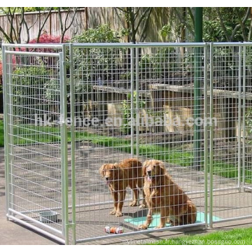 Cage de race d&#39;animal de plein air de prix concurrentiel, grand chenil de type de maison de chien couru pour votre membre de famille d&#39;animal de compagnie